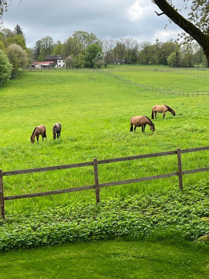 Münsing Herrenhaus - Starnberger See - Ammerland מראה חיצוני תמונה
