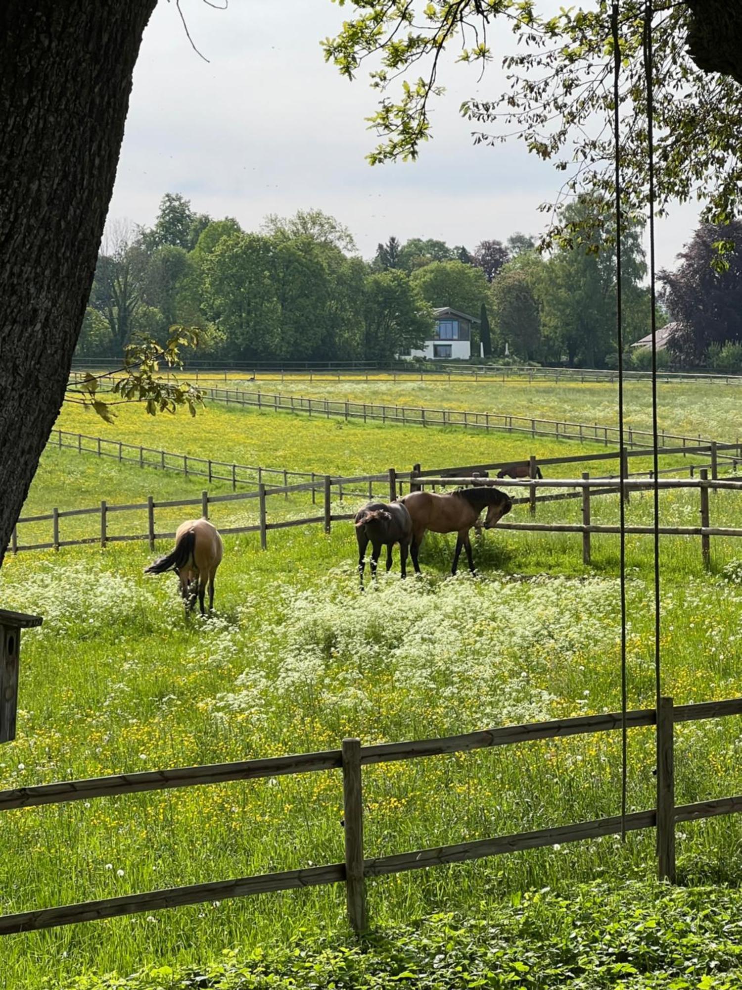 Münsing Herrenhaus - Starnberger See - Ammerland מראה חיצוני תמונה