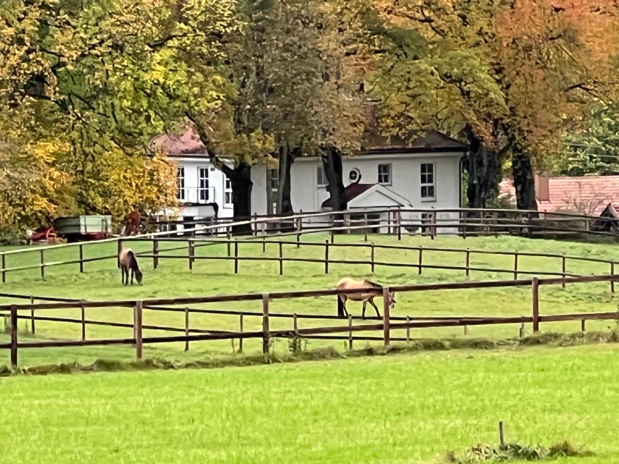 Münsing Herrenhaus - Starnberger See - Ammerland מראה חיצוני תמונה